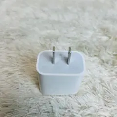 Apple純正 20W USB-C 電源アダプタ iPhone iPad 充電器