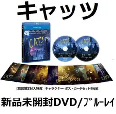 新品未開封 キャッツ ブルーレイ+DVD フランチェスカ・ヘイワード テイラー