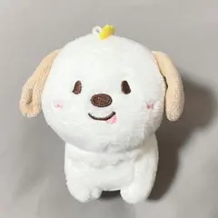 2026年最新】RIIZE ぬいぐるみ アントンの人気アイテム - メルカリ