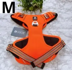 Item thumbnail for item 2027e89d-cba5-48c3-87f7-a8b1530c5b89