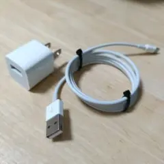 Apple純正A1385充電器と純正Lightningケーブルその1