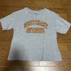 Item thumbnail for item 014bc0a9-4c40-4a51-a2f5-4890485e4c0a