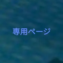 エルフ・モール公式アカウント06様専用ページ