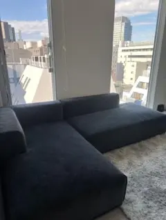 2025年最新】フランフランソファの人気アイテム - メルカリ