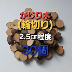 Item thumbnail for item cf6f8305-63f7-4dfa-b9f1-977e185a77bf