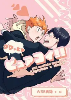 ハイキュー!! 同人誌 影日③