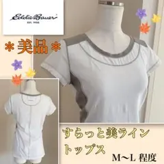 着用浅【美品】柔らかコットン★優美なデザイン《エディーバウアー》トップス　M程度