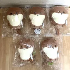 ナガノのカワウソ　ぬいぐるみくじ　 C賞　ぬいぐるみS 5品セット