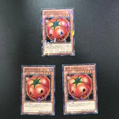 遊戯王 キラートマト DTノーマル