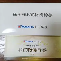 【匿名配送】ヤマダ電機 株主優待券 5000円(500円✕10枚)