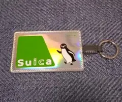 Suicaのペンギン 定期入れ パスケース シルバー オーロラ 硬券 JR