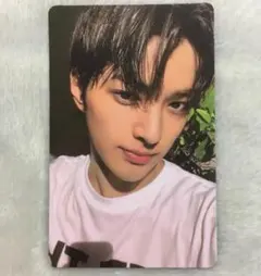 CORTIS ゴノ ゴンホ weverse release party トレカ