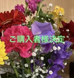 Jim Thompson スカーフ　ストール