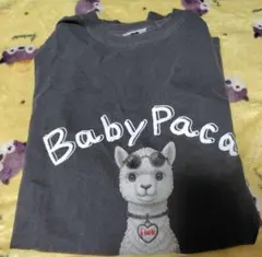 岩城直弥 iwk. BabyPaca ロンT 非売品 グレー