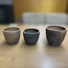 ウチョウラン鉢　欅鉢　3個セットのサムネイル