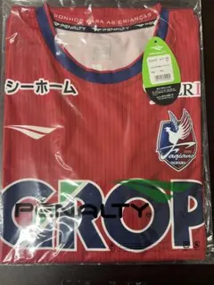 【極美品】ファジアーノ岡山 2025年 2ndユニフォーム 極美品】ファジアーノ岡山 2025年 2ndユニフォーム 2025年最新