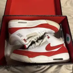 NIKE JORDAN3 RETRO TH SP 27.0cm