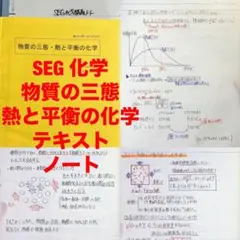 非売品】SEG 化学 テキスト 理論化学の総点検 授業プリント付き - メルカリ