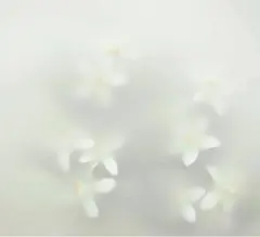 返品用