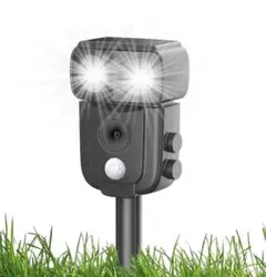 Item thumbnail for item 89504c7a-0b73-4070-9937-87e91840892d