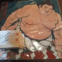 2026年最新】大の里サインの人気アイテム - メルカリ