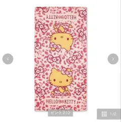 Item thumbnail for item d470e678-1379-4209-8572-2a46b7d9a002