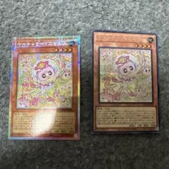 マルチャミーニャルス