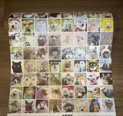 Item thumbnail for item 651d88db-ce42-4fc6-8c3c-f09c78de56ee