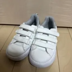 Item thumbnail for item 622f6539-c3e8-49eb-875b-490d53db3fd6