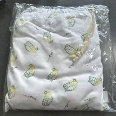 【即購入⭕️】GReeeeN gre4nboyz ツーナゲール　VIP特典