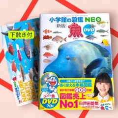 [新版]　小学館の図鑑NEO　魚　DVDなし 　下敷き付