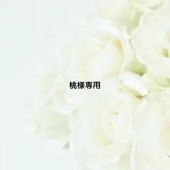 桃様 リクエスト 3点 まとめ商品