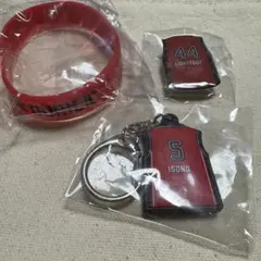 熊本ヴォルターズ グッズ