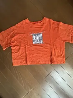 レピピ　転写Tシャツ　M
