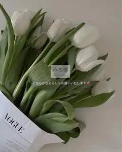 Item thumbnail for item 5b964712-bac1-4ad0-abde-1e61db4eb451