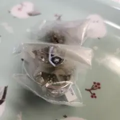 REBORN ボンゴレリング3種セット