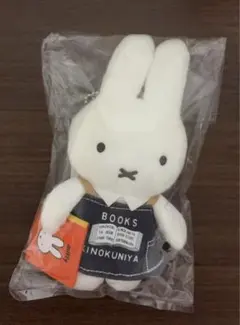 2025年最新】ミッフィー絵本ぬいぐるみの人気アイテム - メルカリ