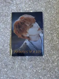 seventeen ウエハース シール ジョシュア