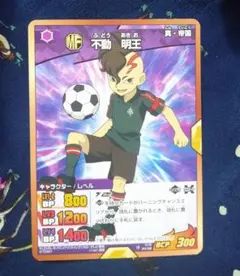 イナズマイレブンGO TCG ホワイトハリケーン - メルカリ