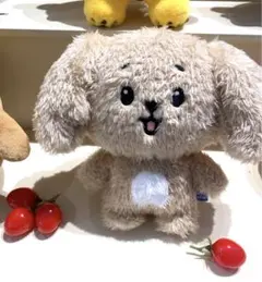 2025年最新】seventeen ぬいぐるみ ドギョムの人気アイテム