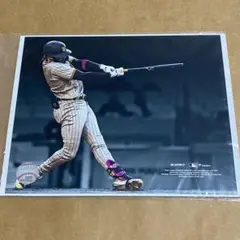 タティス アクリルスタンド wbc2026 ドミニカ代表 - メルカリ