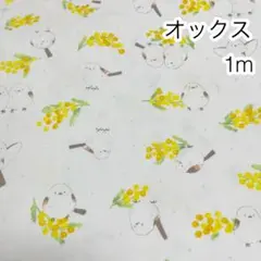 1m シマエナガとミモザ ホワイト オックス