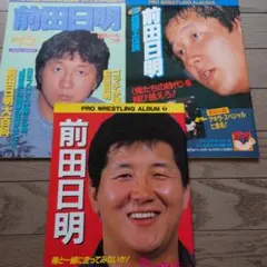 新生UWF ポスター　前田日明 新生UWF 興行ポスターピンナップ 前田日明 - メルカリ