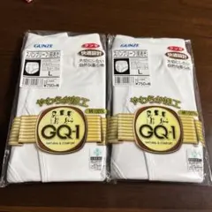 GUNZEスパンブリーフ２枚