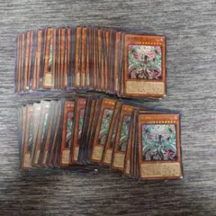パ7254　遊戯王　混源龍レヴィオニア　100枚