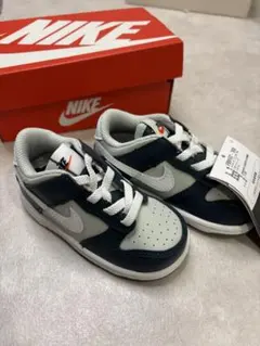 Nike Dunk Low (TDE) キッズスニーカー 6C