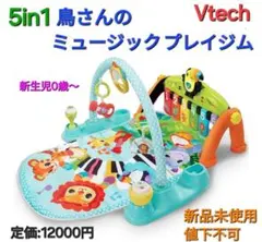 新品☆Vtech 5in1 鳥さんのミュージックプレイジム/ベビージム
