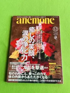 anemone 2001年12月号 雑誌