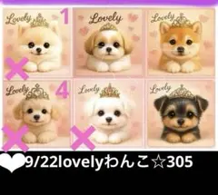 確認用　9/22lovelyわんこ☆305 限定パネル