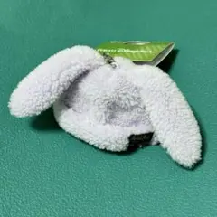 【新品タグ付き】ロストキッズ キーチェーン うさぎ ディズニーシー ウサギ